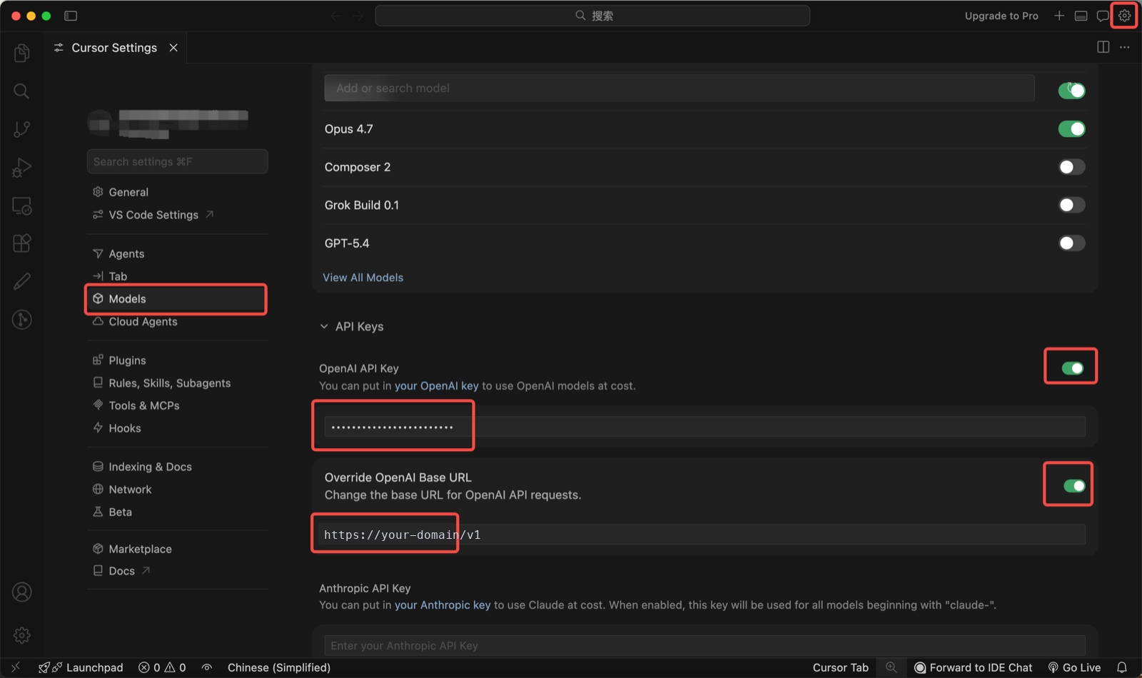 Cursor configuration screenshot