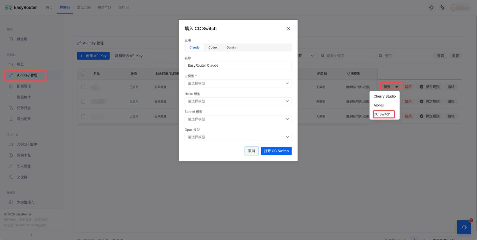 Fill in the CC Switch dialog
