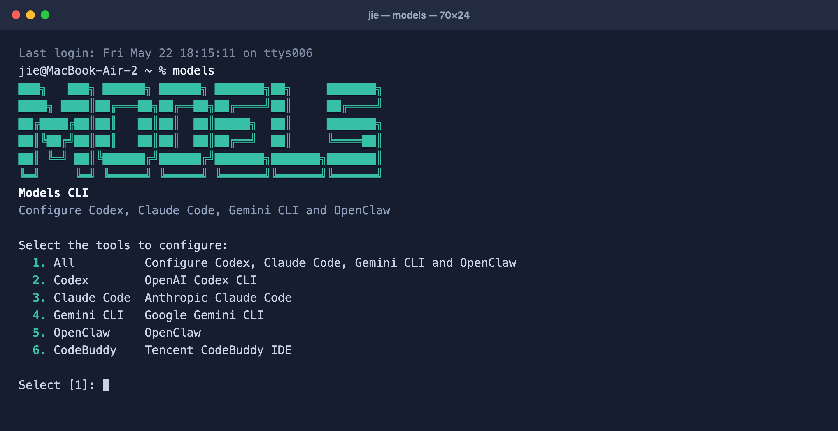 Models Hub CLI interactive configuration