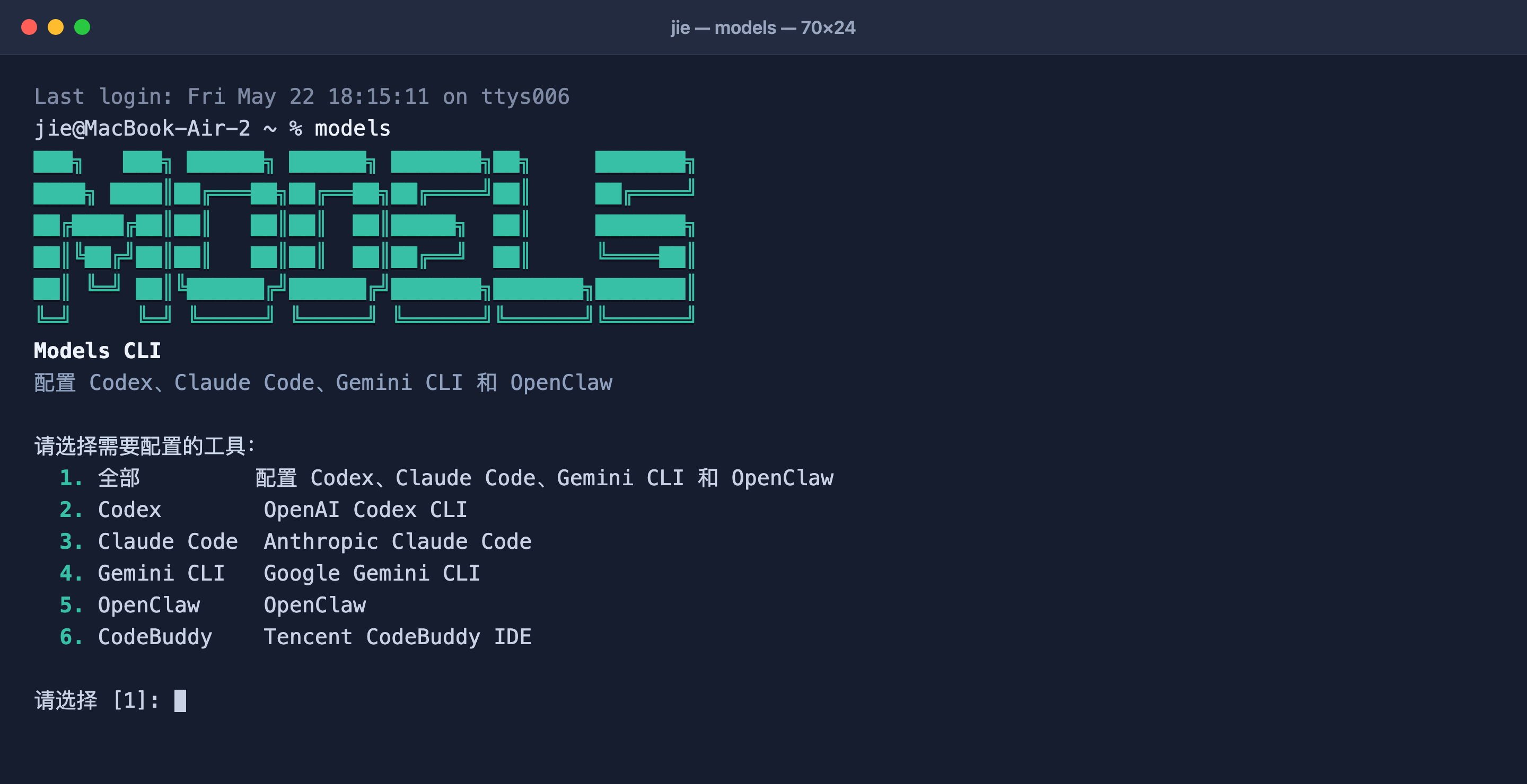 Models Hub CLI 交互式配置界面