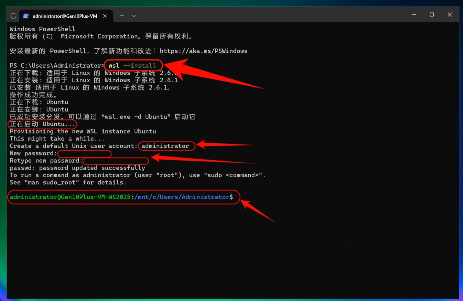 windows-img-03.webp